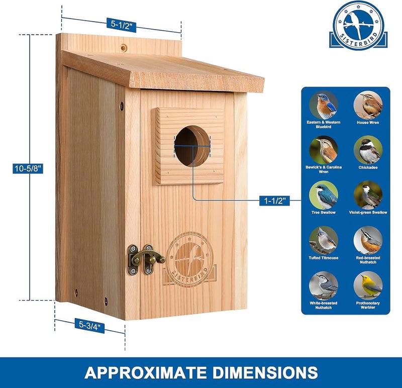 SISTERBIRD Bird Houses for Outside 1-1/2" Entrance Hole Cedar Wild BirdHouses with Wood Guard Outdoor Bluebird Wren Swallow Finch Assembly Required - Image 3